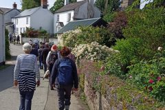 Bratton Clovelly June 2025