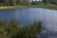 image30-rotated
