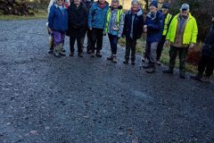 Cookworthy Woods December 2025