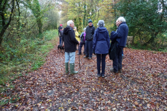 Highampton November 2021