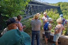 Meldon Valley July 2024
