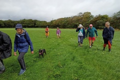 Pyworthy Killatree August 2021 