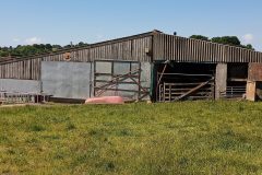 Sheepwash June 2022