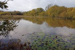 Upper Tamar Lake November 2023