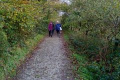 IMG20231103111428-scaled